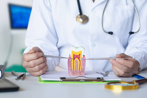 Best Emergency Gum Treatment in Towanda, PA